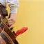 Handyman repair service in Lakewood, CO for home fixes and improvements